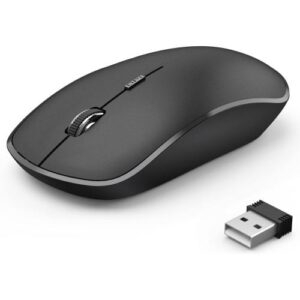 mouse